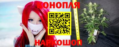 мяу мяу мука Апшеронск