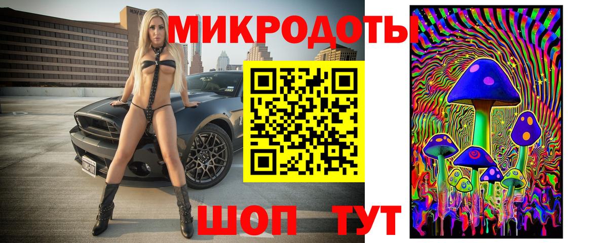 Галлюциногенные грибы Psilocybe  Губаха 